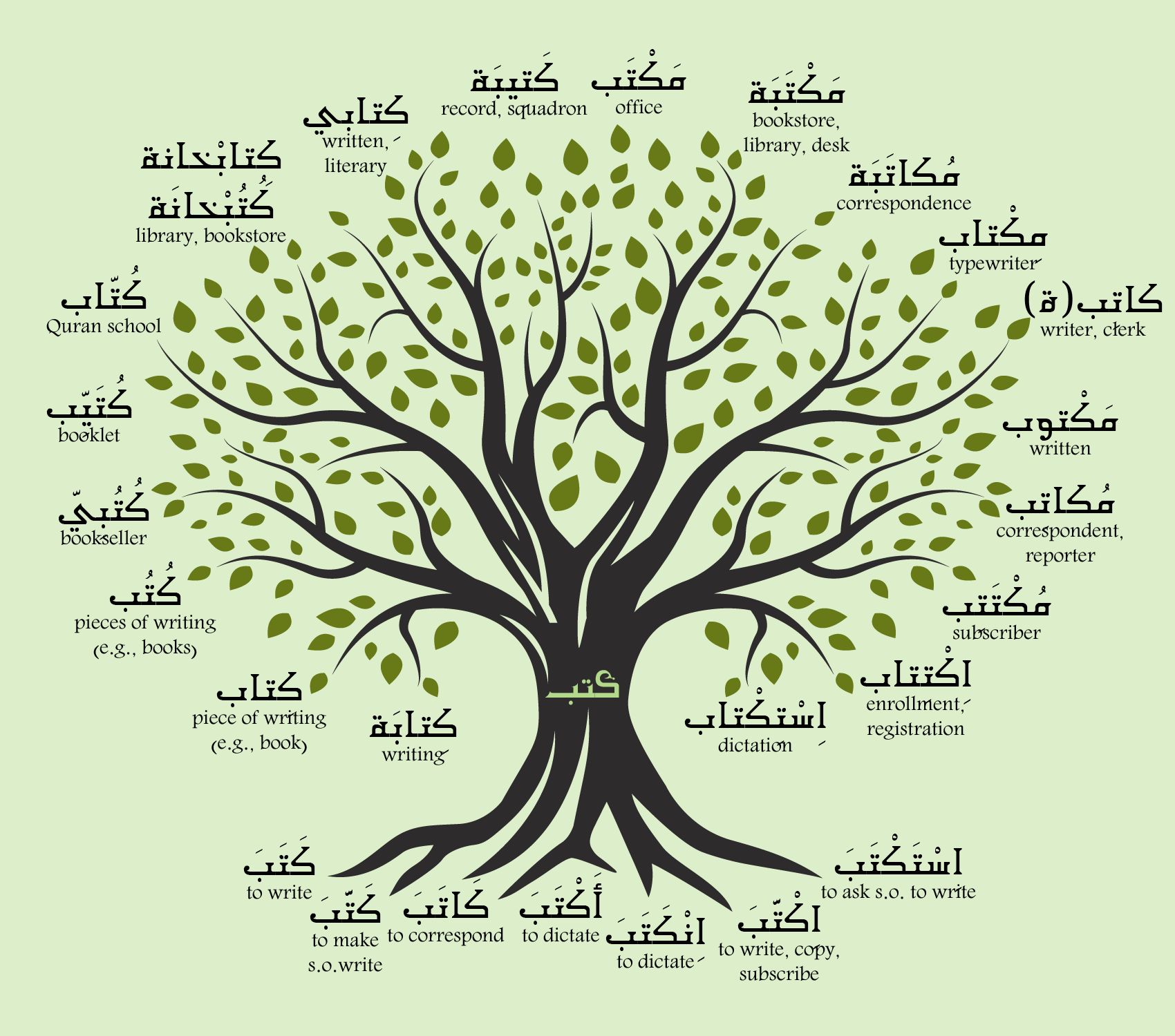 Graphic explaining how Arabic roots and word patterns connect.